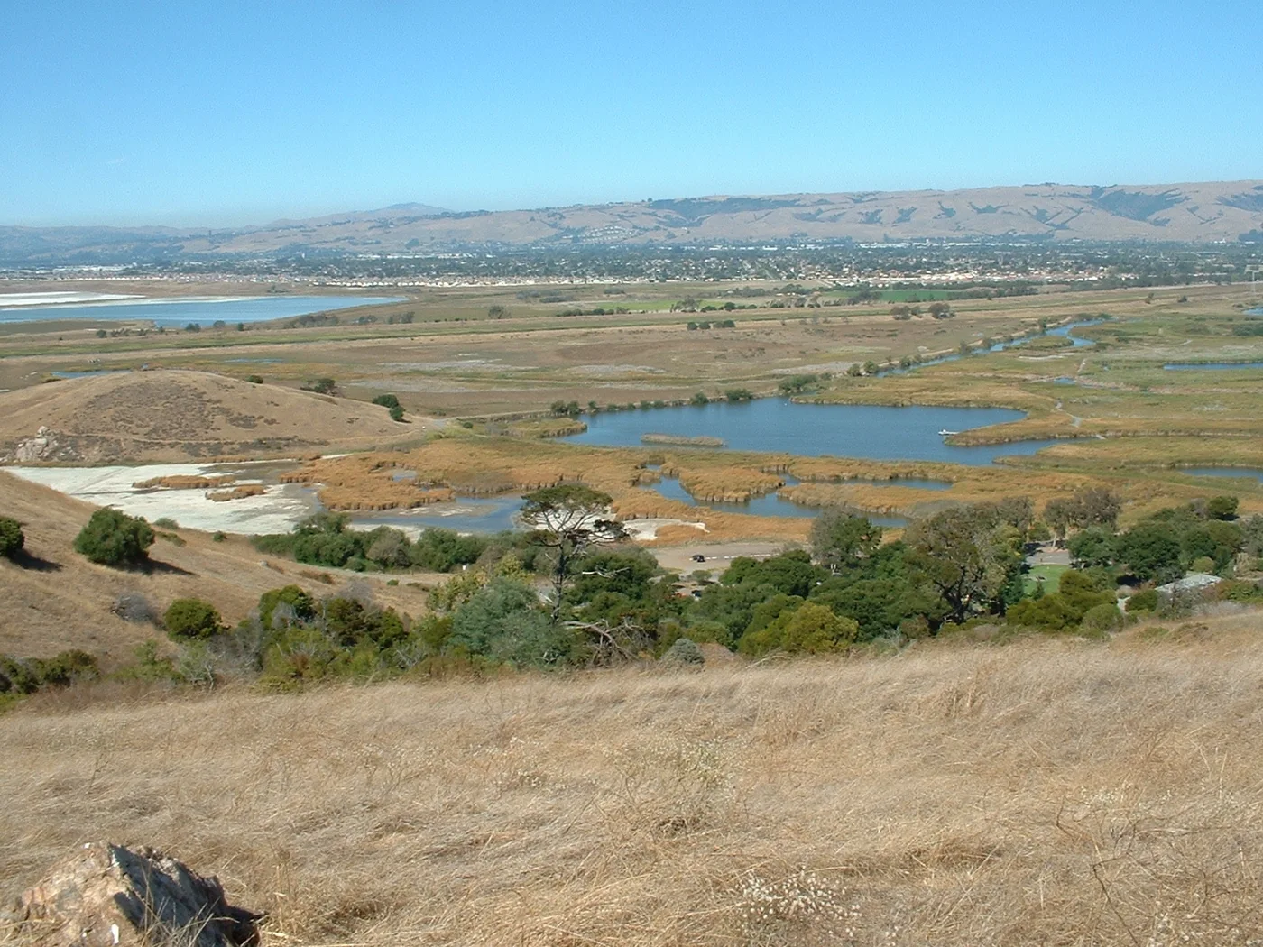 从 Coyote Hills 山脊望向 Fremont 的湿地与浅水湾