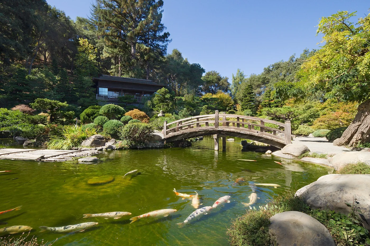 Saratoga Hakone Gardens 的池塘、拱桥与绿树