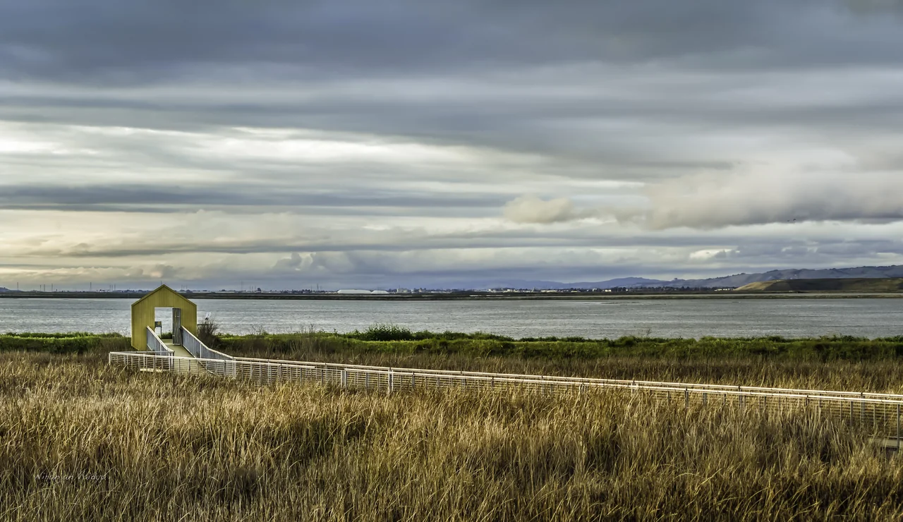 Alviso Marina 的湿地、木栈道与远处水面