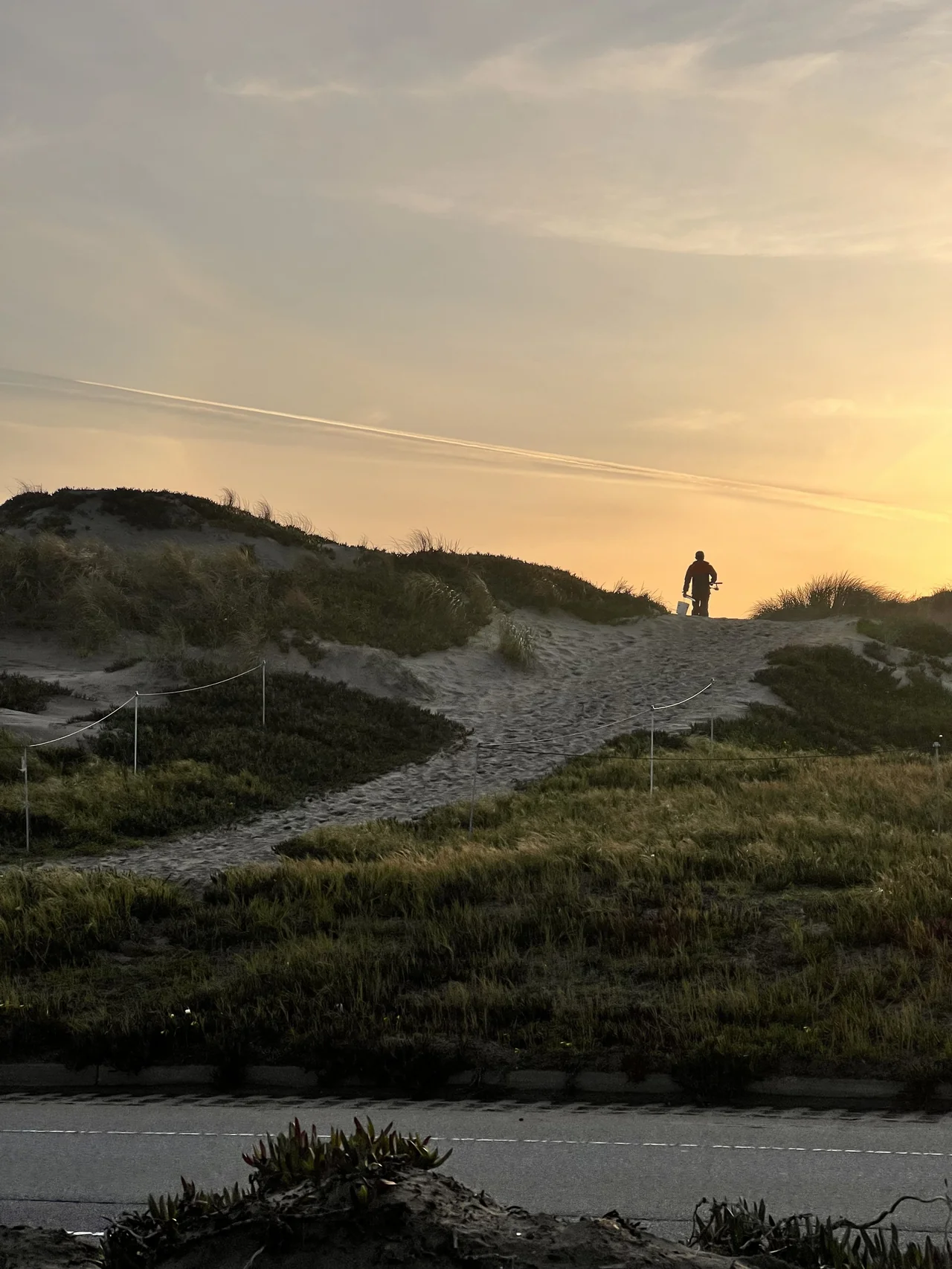 暮色中的 Sunset Dunes 沙丘通道、植被与推车行人