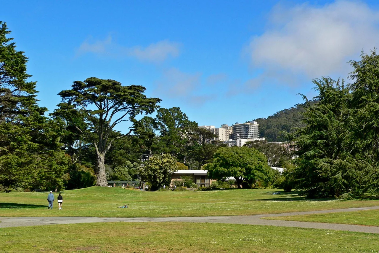 旧金山植物园大草坪与远处入口建筑