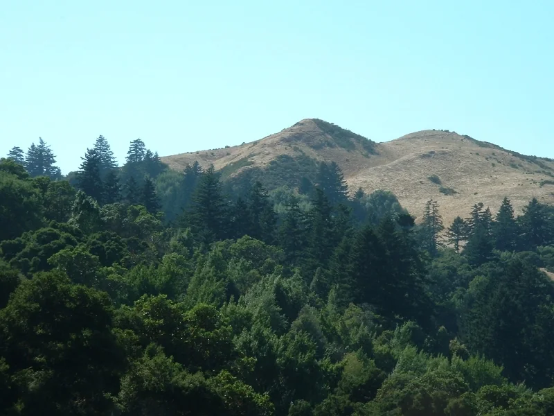 从 Hamm Gulch 步道远望 Windy Hill 草坡与林地