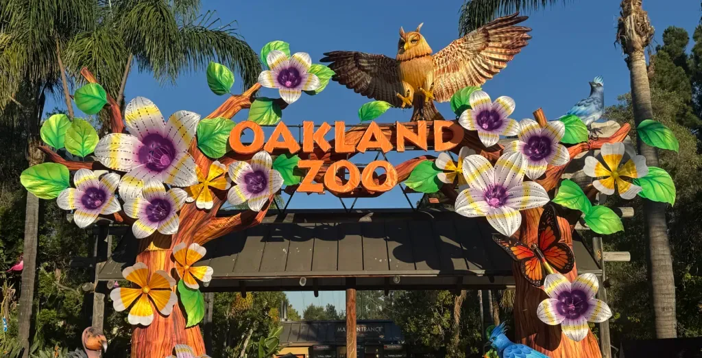 The zoo’s entrance lanterns by day