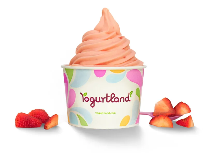 Yogurtland 冰酸奶与水果产品照片